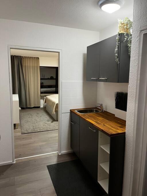 Isaak Appartment Burgnaehe Kussaberg Экстерьер фото